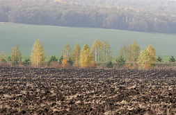 В СФ призвали модернизировать закон о мелиорации