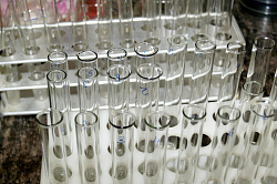 СФ ограничил передачу генетических данных россиян за границу