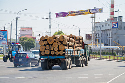 В СФ заявили, что частая смена правил для бизнеса в леспроме тормозит развитие