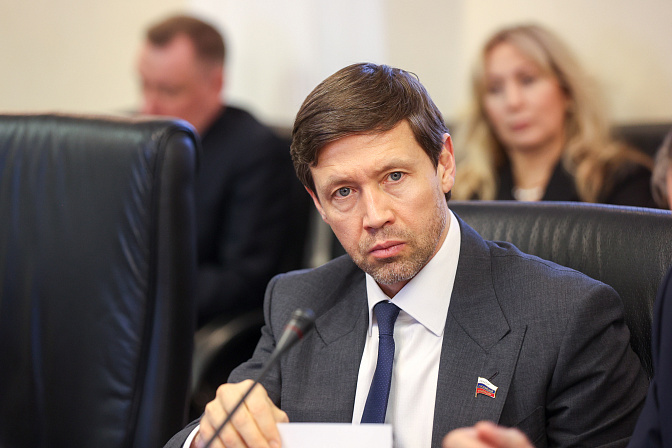 сенатор артём шейкин