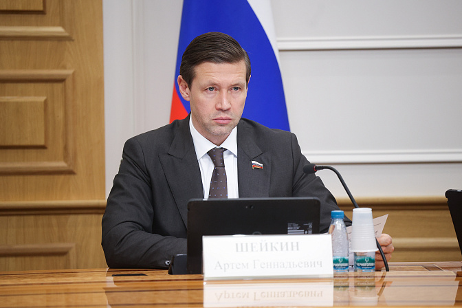 сенатор артём шейкин
