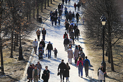 В СФ призвали стимулировать работодателей на вывод сотрудников из тени  