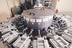 СП РФ по поручению СФ проверит госзакупки лечебного питания для орфанных больных