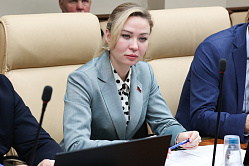 В СФ считают, что Европа осознаёт утопизм силового возврата российских регионов