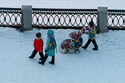 У многодетных должников запретят изымать земельные участки и автомобили 