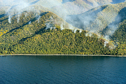 Минприроды: 116 заповедников и нацпарков в России подвержены всем видам пожаров