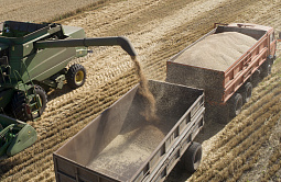 Пушкарёв: страхование должно стать привычной частью агробизнеса, как посевная