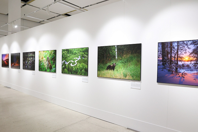 общероссийский фестиваль природы первозданная россия