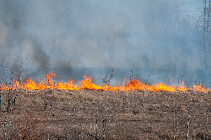пожар поле лес 