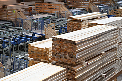 Сенаторы направят в правительство план поддержки лесной отрасли 