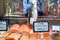 В СФ заявили, что добыча дальневосточных лососей выросла на 100 тыс. тонн