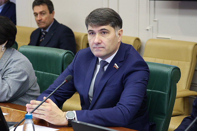 сенатор владимир пушкарёв