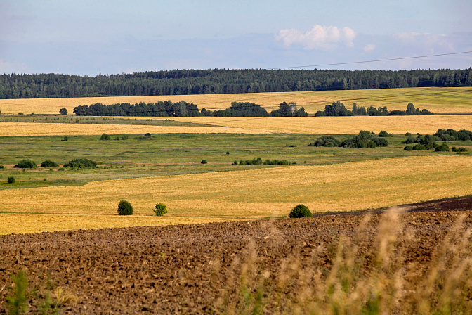 земля поля агропром 