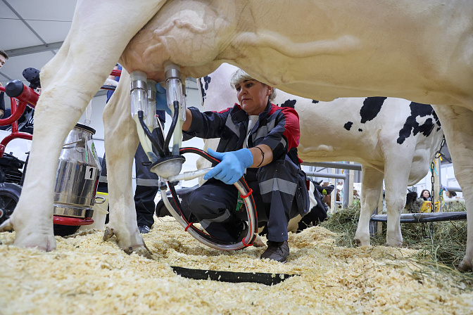 фермер агропром корова доярка 
