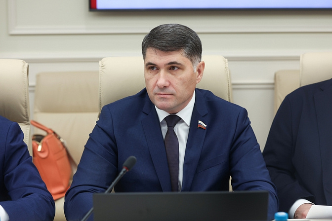 сенатор владимир пушкарёв