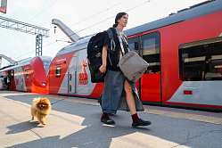 В РФ почти в 2,5 раза выросло число отелей, где гостей принимают с животными