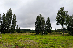 Закон, ограничивающий залог сельхозземель, могут принять в весеннюю сессию