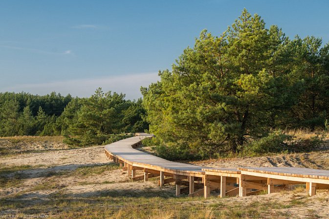 куршская коса заповедник 