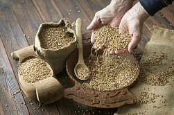 В СФ назвали основные экспортные направления продукции российского АПК