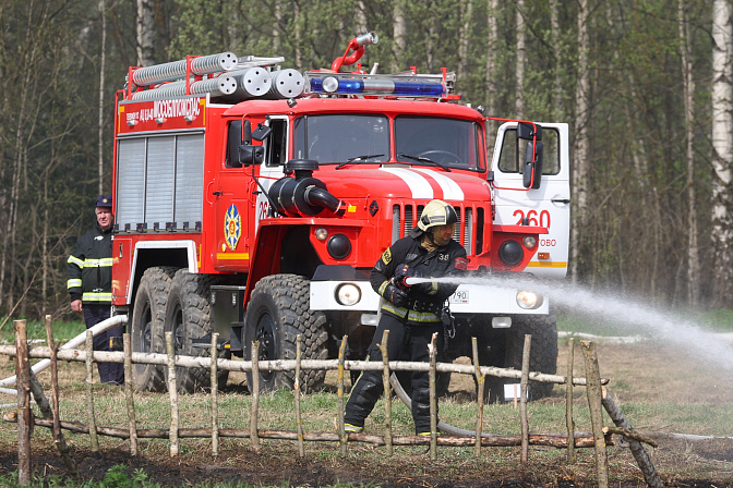 тушение лесного пожара 