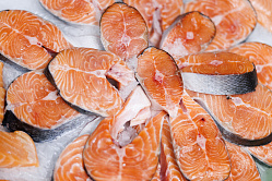 Росрыболовство против введения экспортных пошлин на рыбу