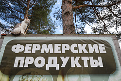 В СФ уверены, что фермеры поддержат закон о донастройке системы агроагрегаторов