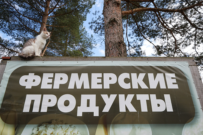 ферма продукция 