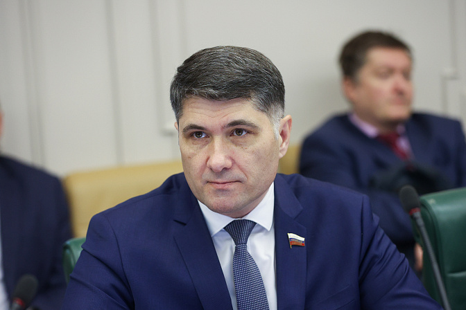 сенатор владимир пушкарёв