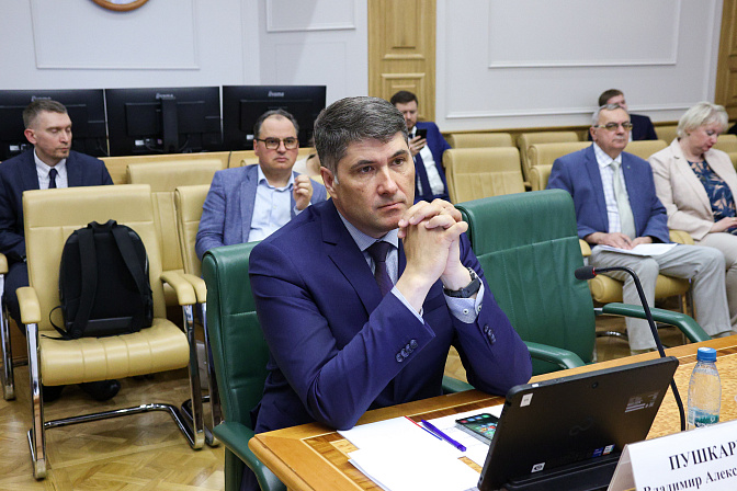 сенатор владимир пушкарёв