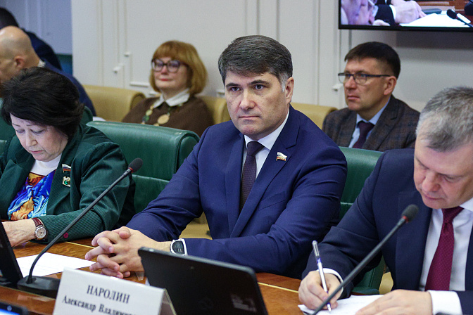 сенатор владимир пушкарёв