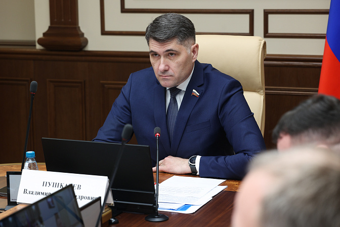 сенатор владимир пушкарёв