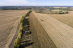 В СФ уверены, что для аграриев 2026 год станет успешным