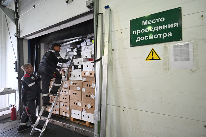 фтс таможня досмотр 