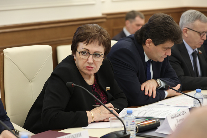 Елена Бибикова. Фото: СенатИнформ/ Пресс-служба СФ