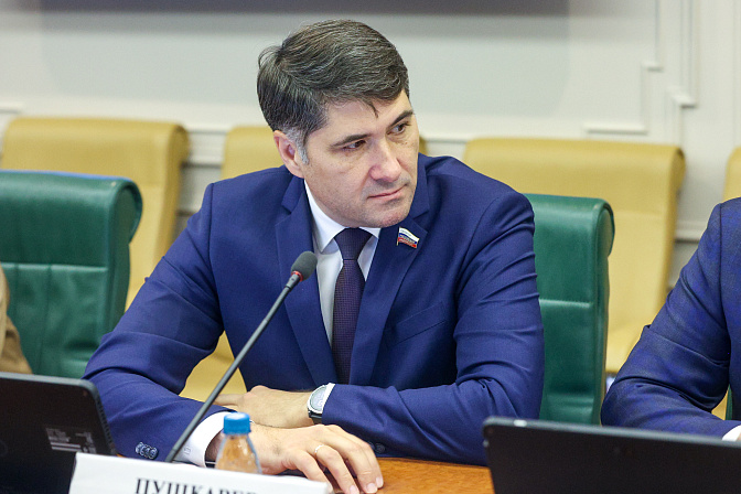 сенатор владимир пушкарёв