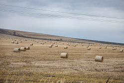 Не работающие в АПК владельцы сельхозземель не смогут передавать участки в залог