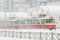 В СФ пообещали, что в Калининграде обновят трамвайную сеть