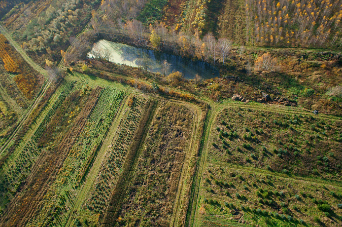 земля поля участок