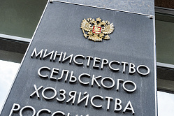 Минсельхоз обещает повысить эффективность поддержки фермеров