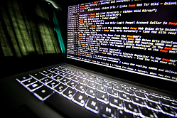 В СФ предложили ввести льготы для бизнеса, использующего надёжную киберзащиту