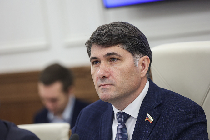 сенатор владимир пушкарёв