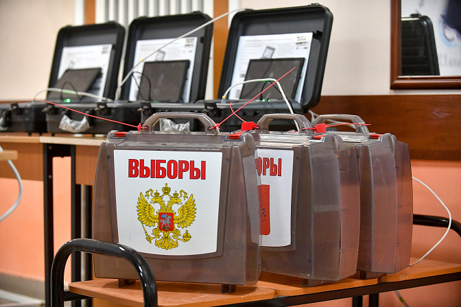 ДЭГ выборы голосование электронное