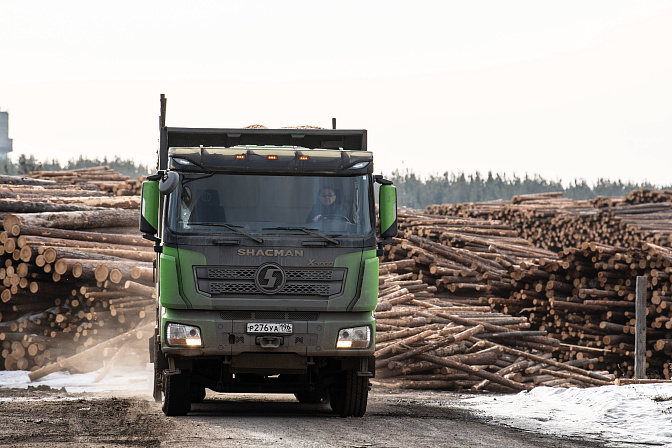 заготовка древесины 
