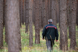 В СФ разработали законопроект о страховании сотрудников лесной охраны