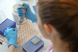 В СФ объяснили, как новые генетические тесты предотвратят наследственные болезни