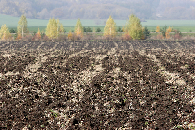 земля сельское хозяйство 