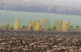 В СФ призвали модернизировать закон о мелиорации