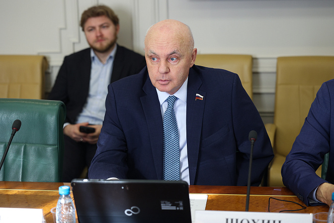 сенатор андрей шохин