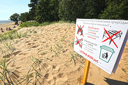 В СФ предложили подумать об усилении наказаний за незаконный розжиг костров