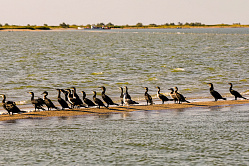 В СФ призвали уделить больше внимания состоянию Азовского моря